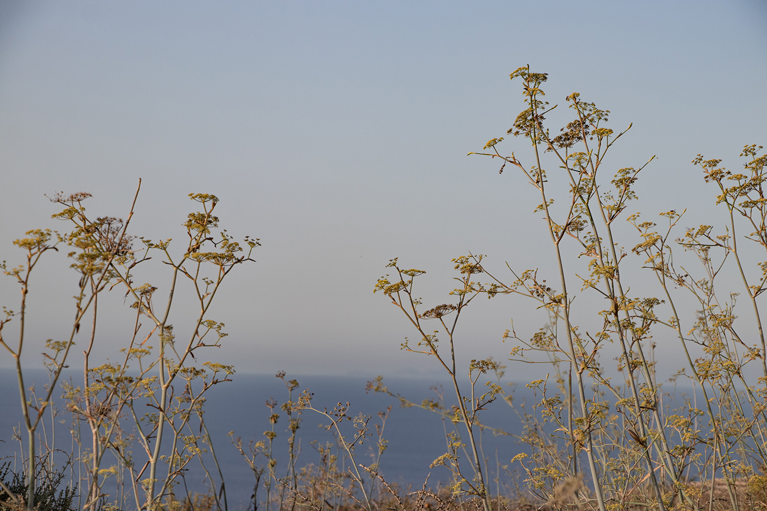 Archisearch ARCHIPELAGO: a photographic journey into the Mediterranean, the architecture of its islands and their identities by Corinna Del Bianco