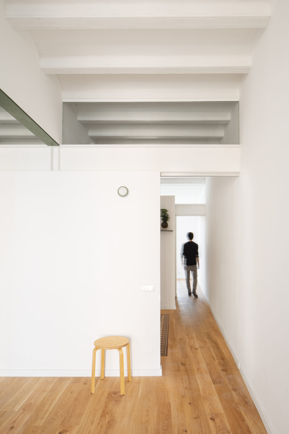 Archisearch Sants - Refurbishment of a dwelling in a century-old residential building in the Sants district, in Barcelona by midori arquitectura