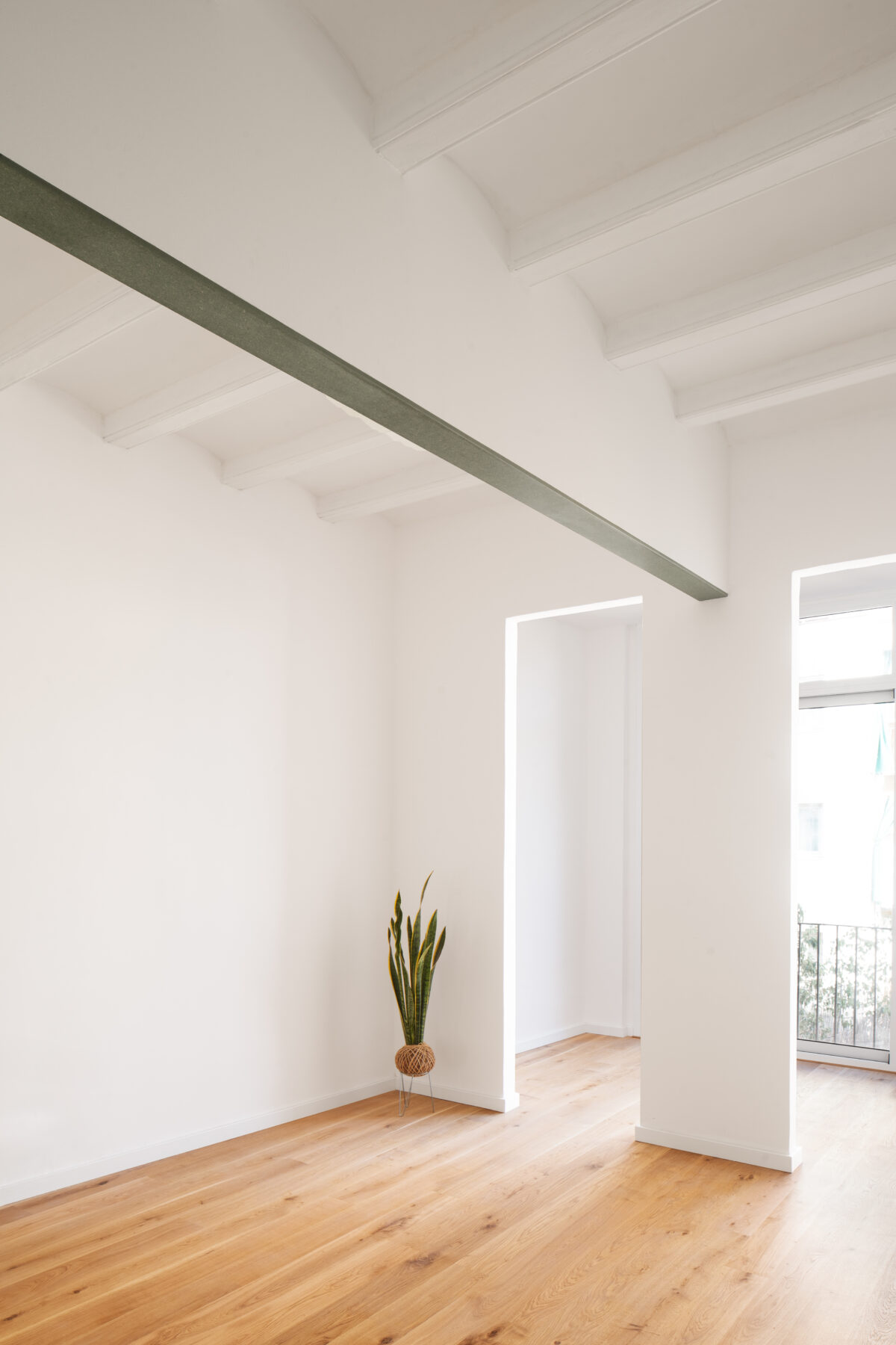 Archisearch Sants - Refurbishment of a dwelling in a century-old residential building in the Sants district, in Barcelona by midori arquitectura