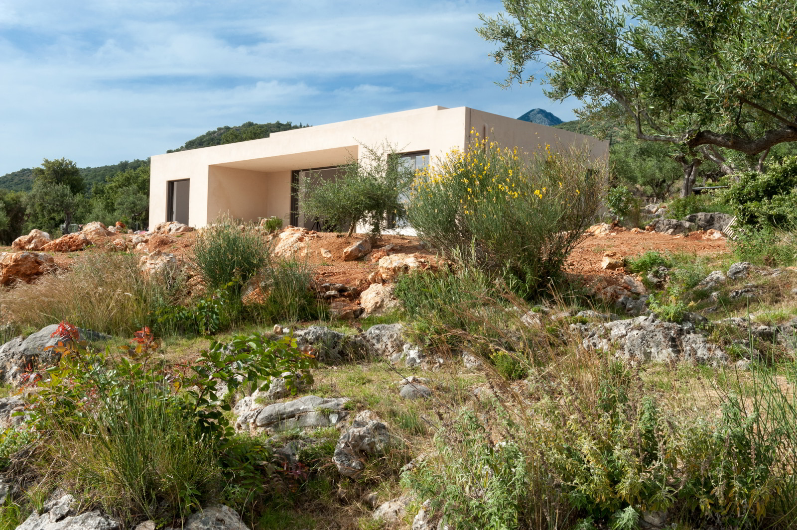 Archisearch Η κατοικία Inside Out House στην Γκονάτσα του γραφείου Etsi Architects διακρίθηκε με βραβείο στα GRAIL Awards 2024