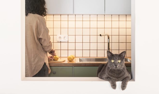 Archisearch - MORE WITH LESS: Apartment Renovation in Gkyzi by ath.ena_architecture