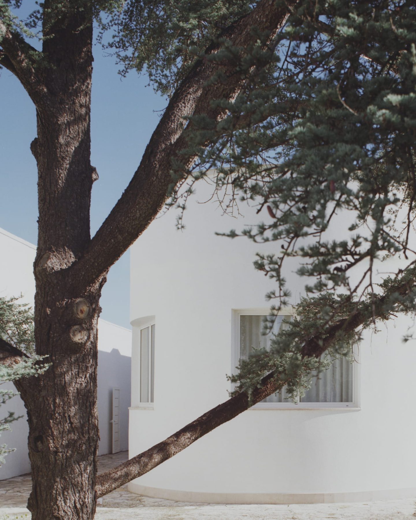 Archisearch Margine Reinterprets a 1970s Villa in Puglia through an Interplay of Volumes and Natural Light