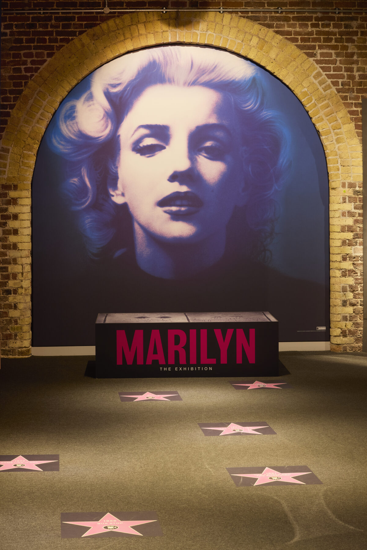 MARILYN installation images Photo Ed Reeve