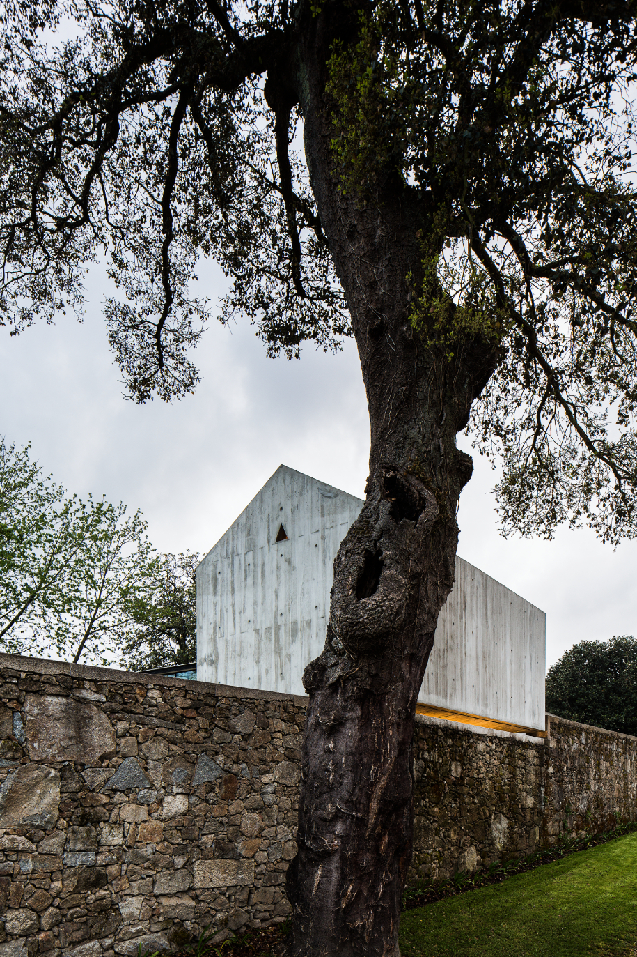 Archisearch AZO Transforms a Ruined Dovecote in Rural Portugal into a Concrete Tree Playhouse