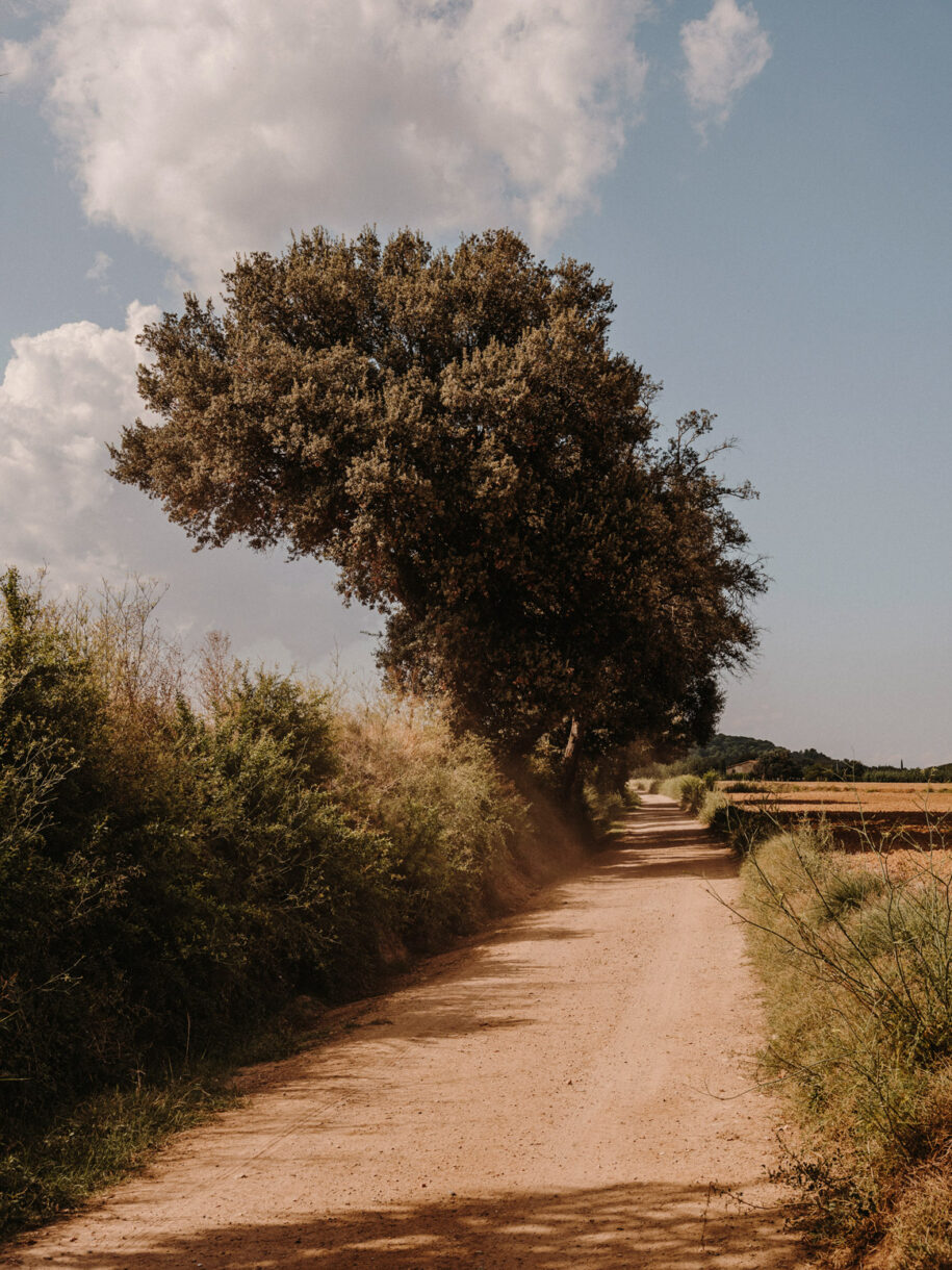 Archisearch Casa Ter: a family house in Baix Empordà, Spain by MESURA