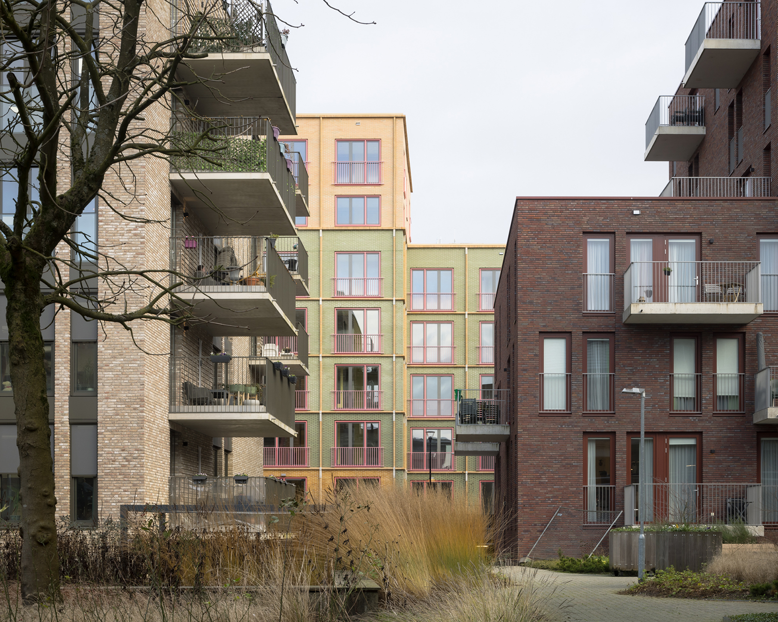 Archisearch An Architecture of Care | Episode 2: Monadnock revolutionizes collective living with Volante oversized garden house.