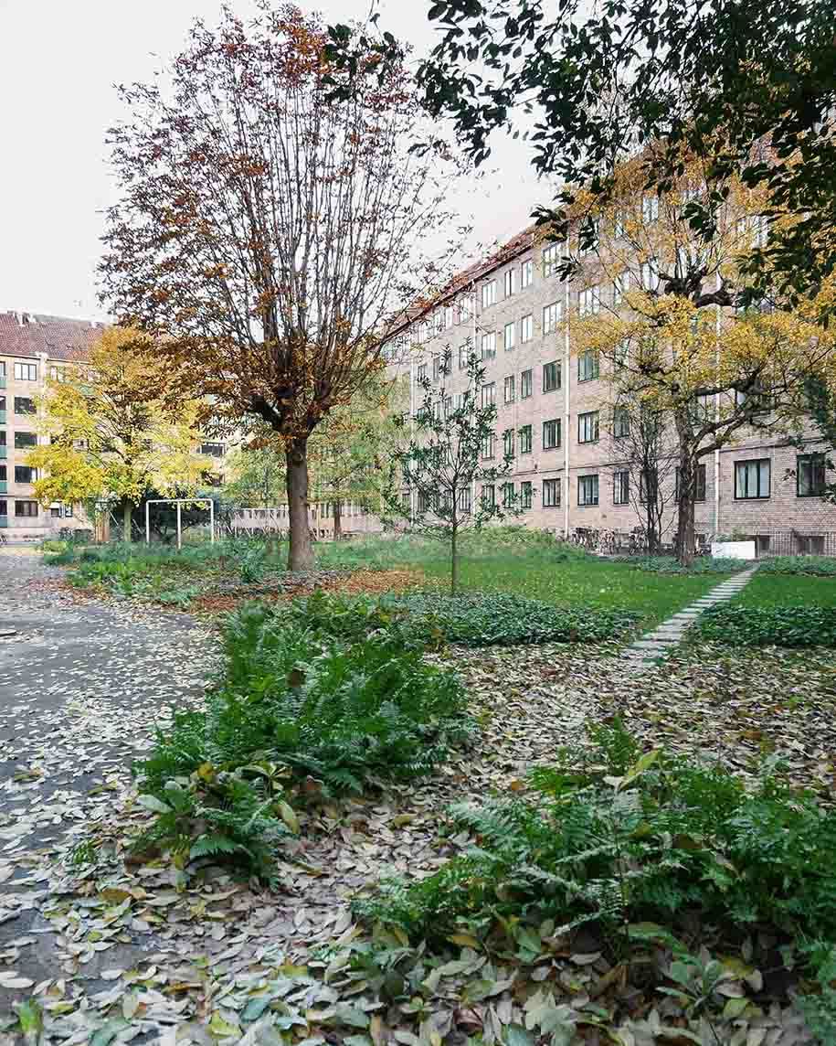 Archisearch NØRREHUS, Transformation of common courtyard | Johansen Skovsted Arkitekter