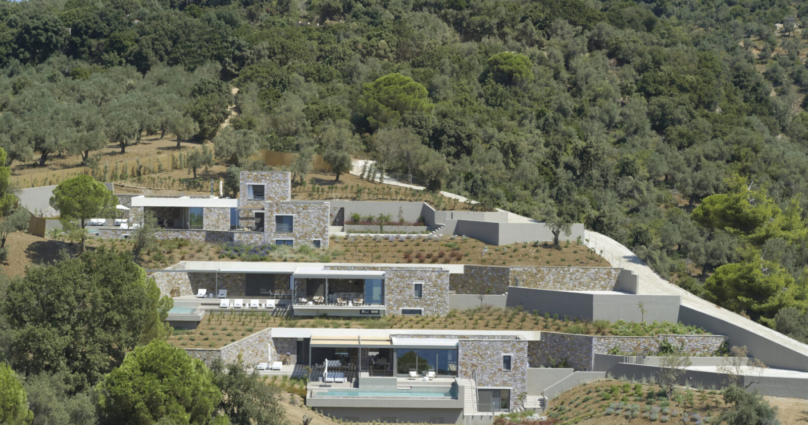 Archisearch OHLIVE VILLAS I-II-III- Συγκρότημα εξοχικών κατοικιών στη Σκιάθο από τους 3H Architects