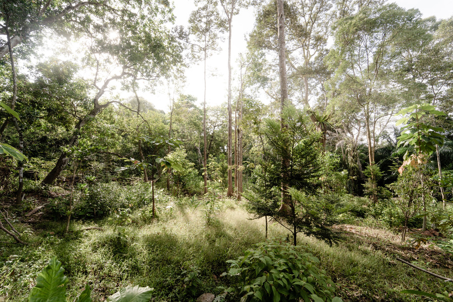 Archisearch The Urban Geology of Singapore | by the National University of Singapore students