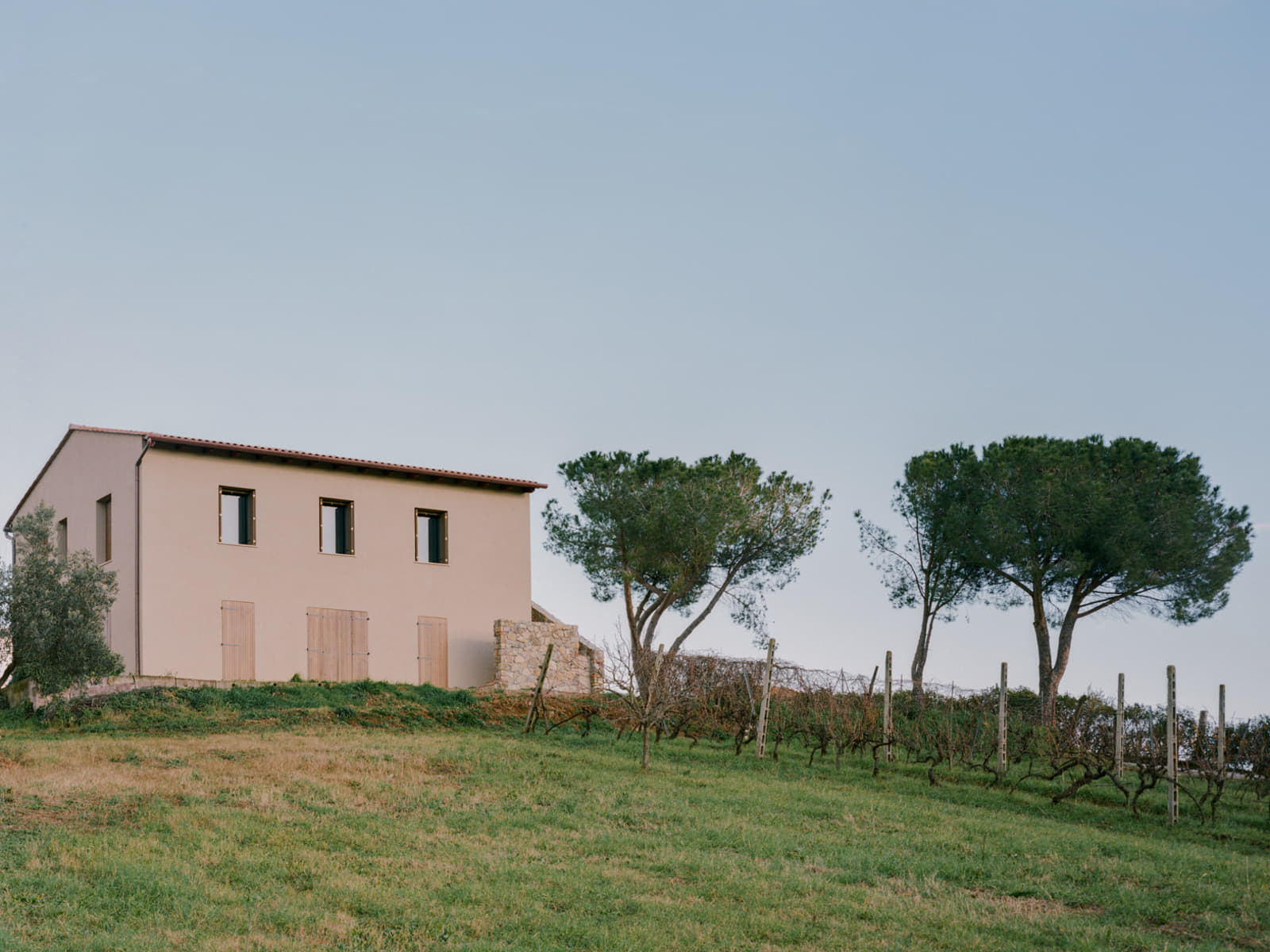 Archisearch PPDA © 2024-26