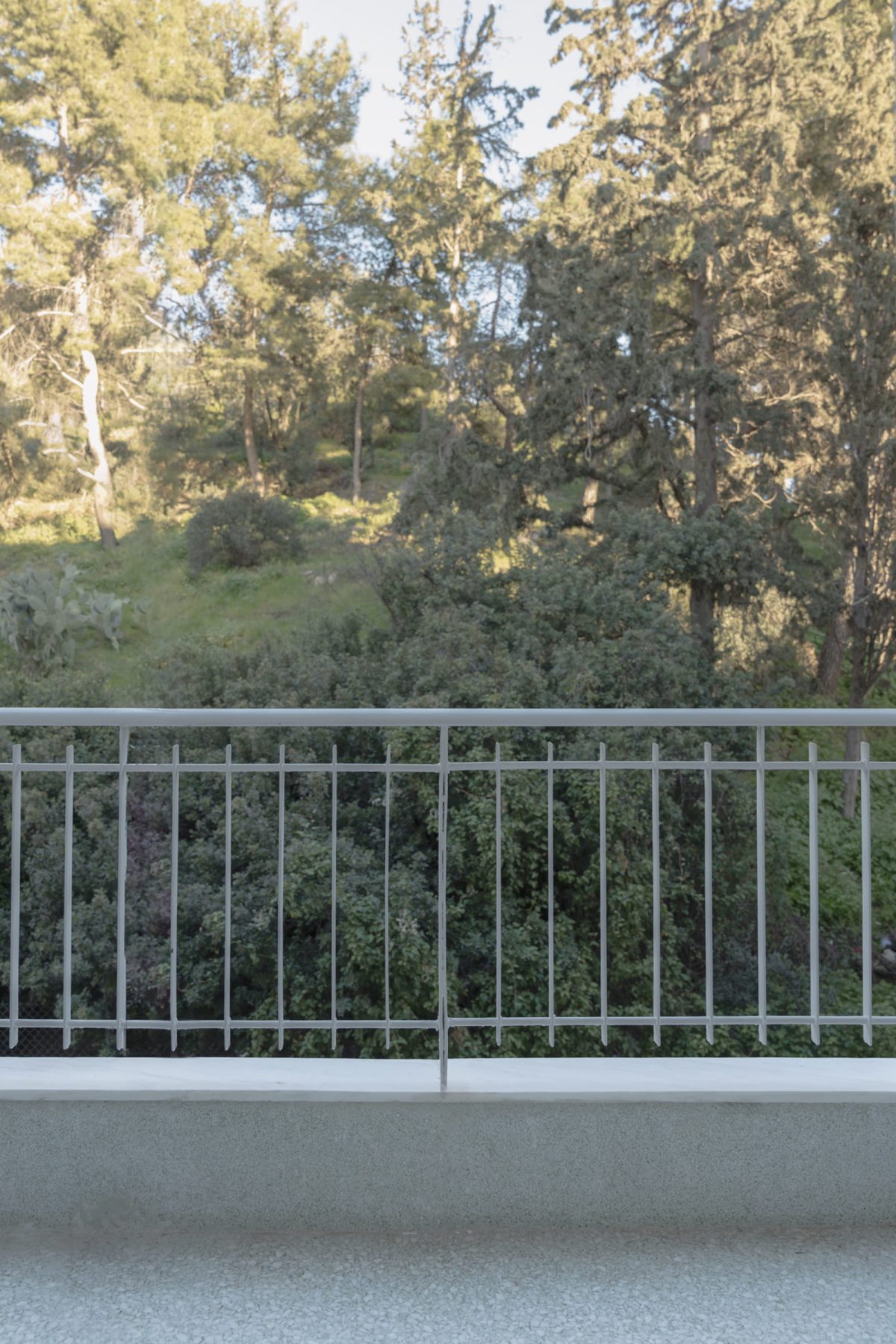 Archisearch More with Less: Studio Lok reconnects an Athenian apartment with the greenery of Finopoulou Hill