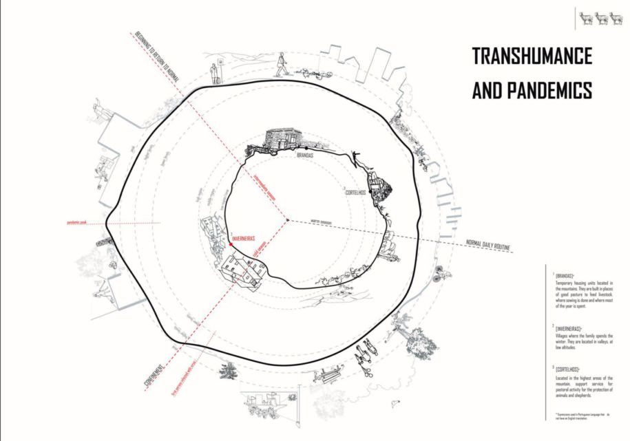 Archisearch Sheep in a Pandemic World | Pandemic Architecture Top100