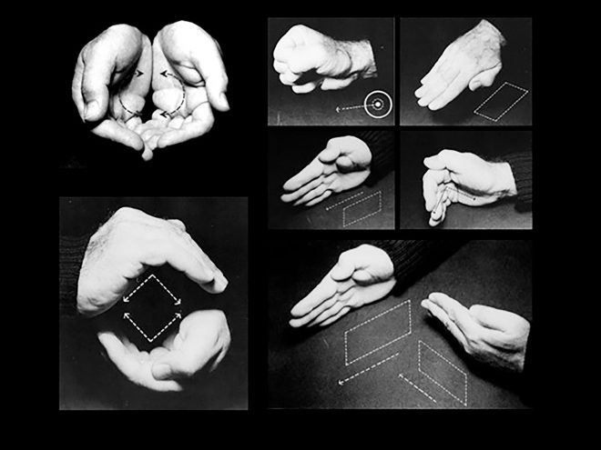 Archisearch - Metaphor and Analogy as hermeneutic tools in architectural design | Research thesis by Aikaterini Theodorelou & Eirini Sofikitou