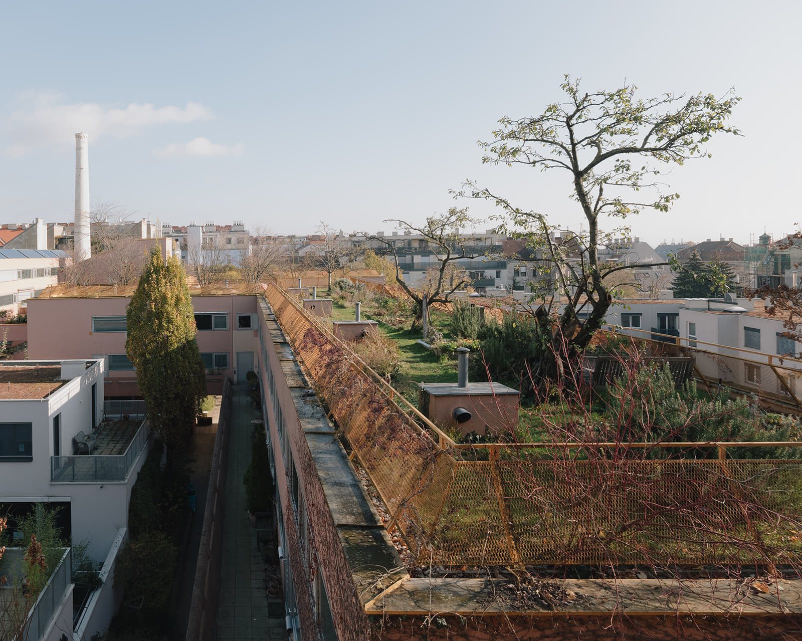 Archisearch 'AGENCY FOR BETTER LIVING' | Pavilion of Austria at the 19th International Architecture Exhibition of La Biennale di Venezia