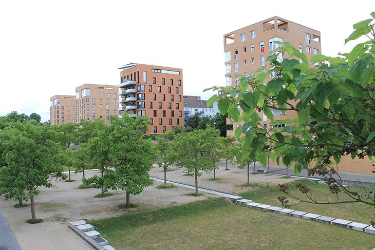 Scharnhauser Park, Στουτγκάρδη, Atelier Dreiseitl, Ramboll Studio Dreiseitl, landscape, Germany, Deutschland, suburbs, Demetra Theochari, Δήμητρα Θεοχάρη