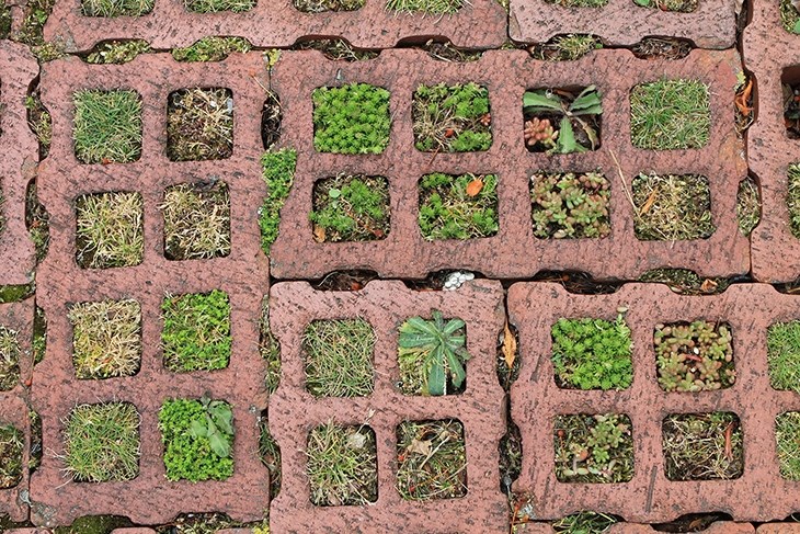 Scharnhauser Park, Στουτγκάρδη, Atelier Dreiseitl, Ramboll Studio Dreiseitl, landscape, Germany, Deutschland, suburbs, Demetra Theochari, Δήμητρα Θεοχάρη