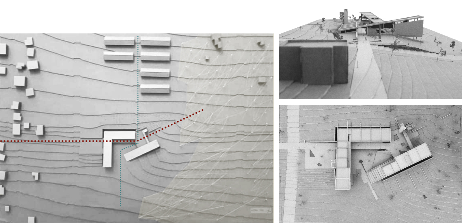 Archisearch Centre of Environmental Education, Information and Research at Mati | Diploma thesis by Georgia Soultana and Olga Stathogiannaki