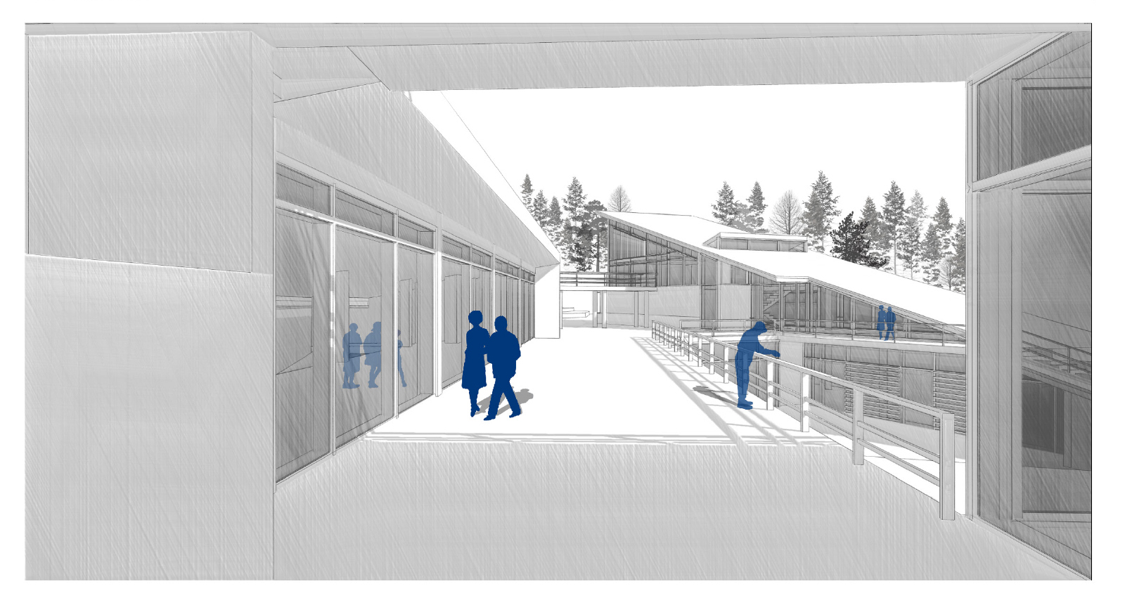 Archisearch Centre of Environmental Education, Information and Research at Mati | Diploma thesis by Georgia Soultana and Olga Stathogiannaki