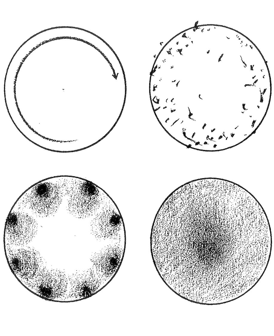 Archisearch The Temporality of Architecture and the Spatiality of Music: An Investigation of their mutual structural concepts | Research thesis by Georgia Stavropoulou