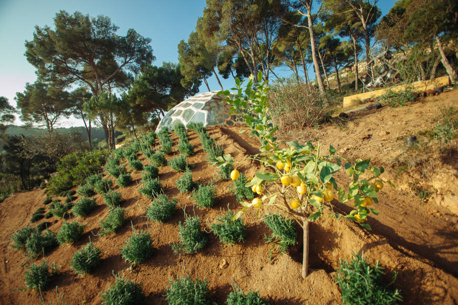 Archisearch Stgilat Aiguablava Villa in Spain | Enric Ruiz-Geli / Cloud 9 studio