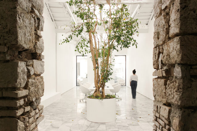 Archisearch - Office renovation | by Tatiana Dimou architects