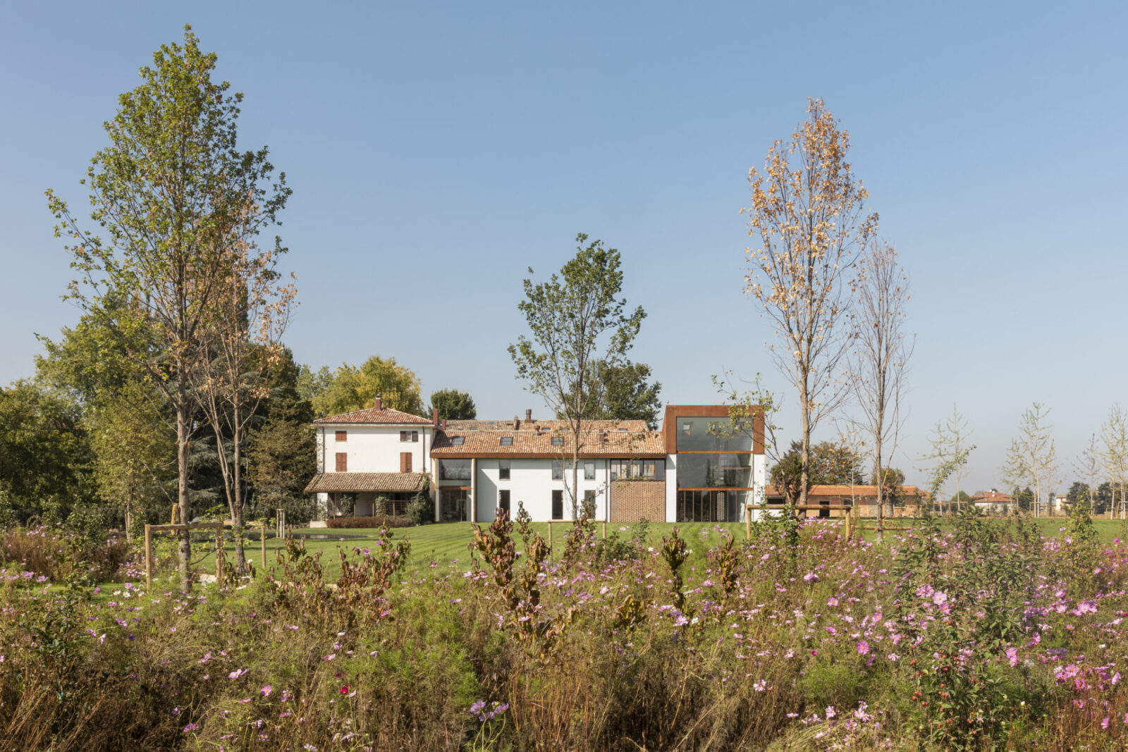 Archisearch The Greenary, A House Built Around a Tree | by Carlo Ratti