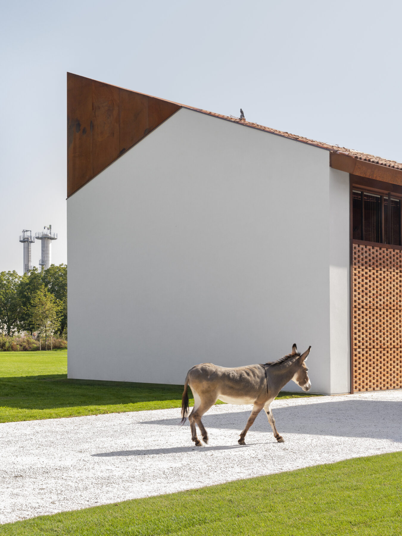 Archisearch The Greenary, A House Built Around a Tree | by Carlo Ratti