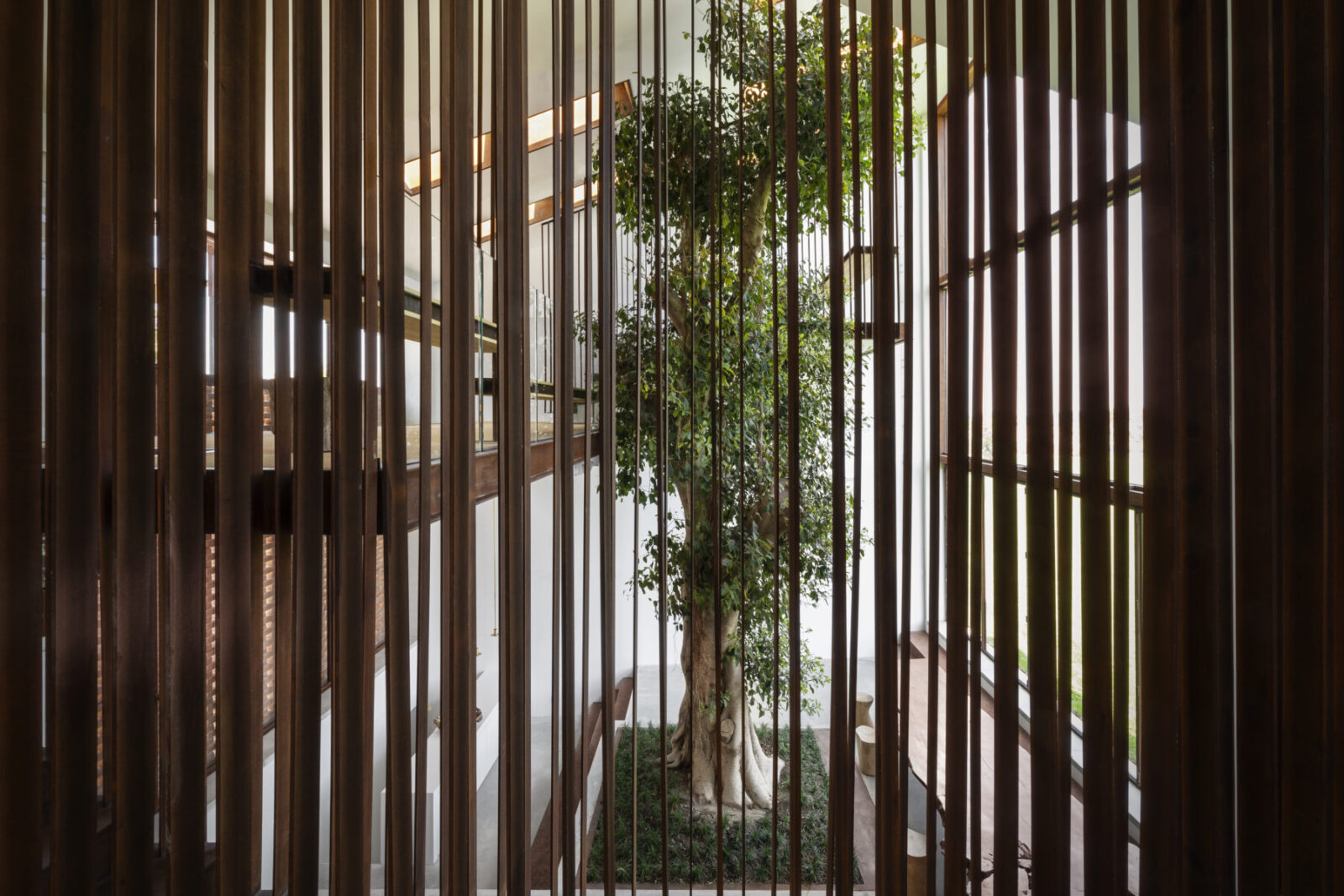 Archisearch The Greenary, A House Built Around a Tree | by Carlo Ratti