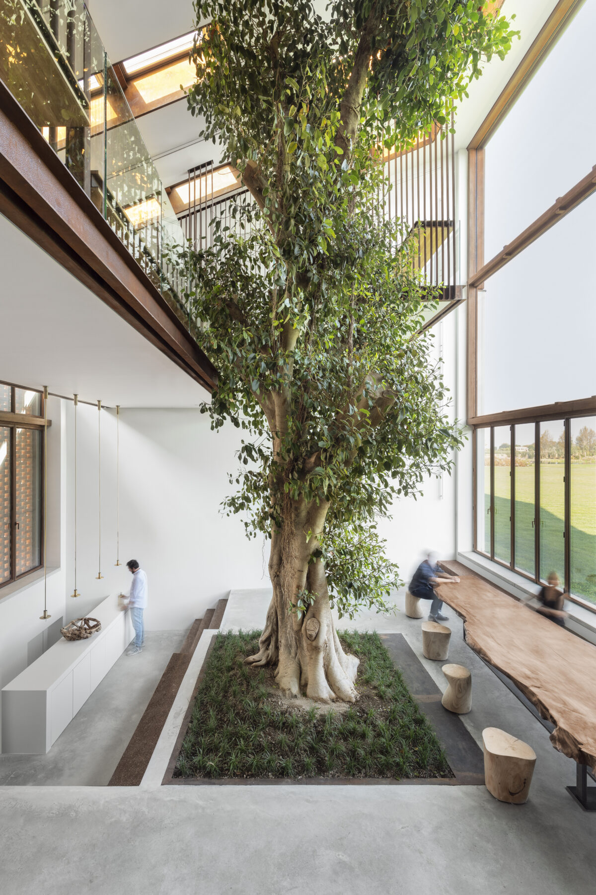 Archisearch The Greenary, A House Built Around a Tree | by Carlo Ratti