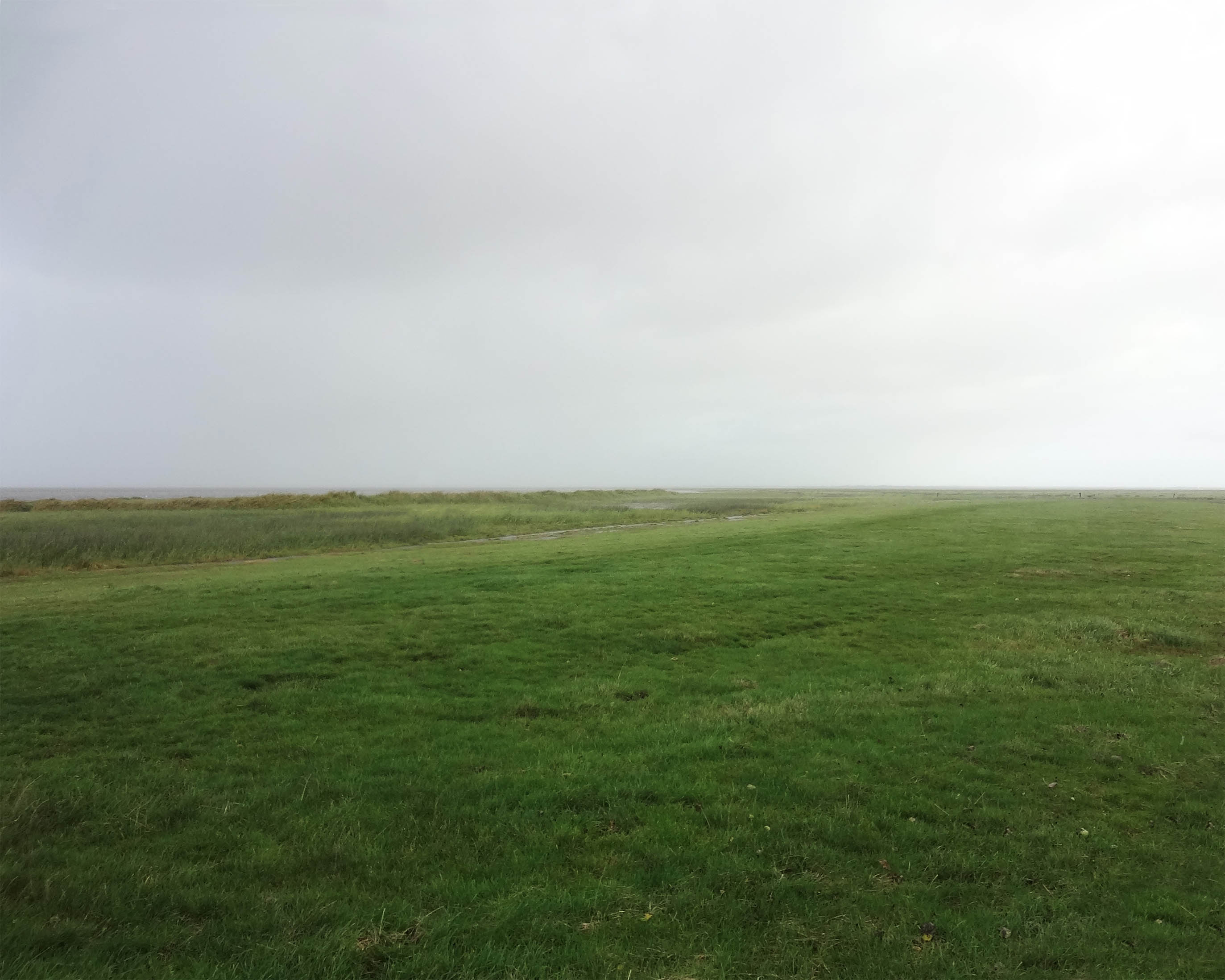 Archisearch Johansen Skovsted Arkitekter imagined Tipperne Bird Sanctuary as free standing objects in the landscape