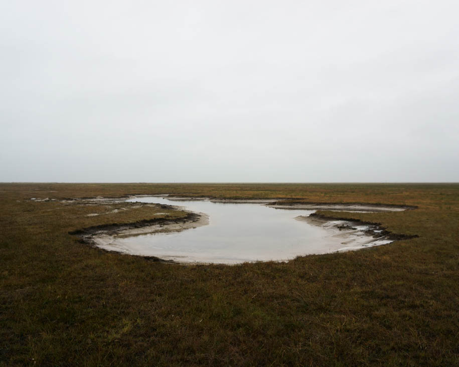 Archisearch Johansen Skovsted Arkitekter imagined Tipperne Bird Sanctuary as free standing objects in the landscape