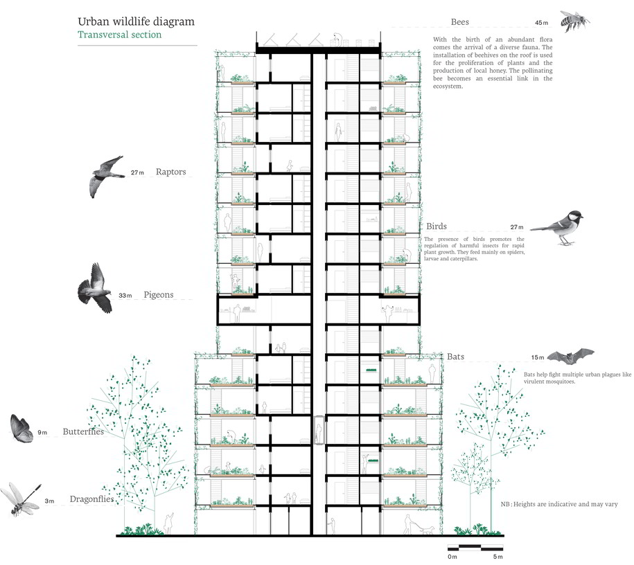 Archisearch LARGE HOUSING DEVELOPMENTS IN TIMES OF PANDEMIC | Pandemic Architecture Top50