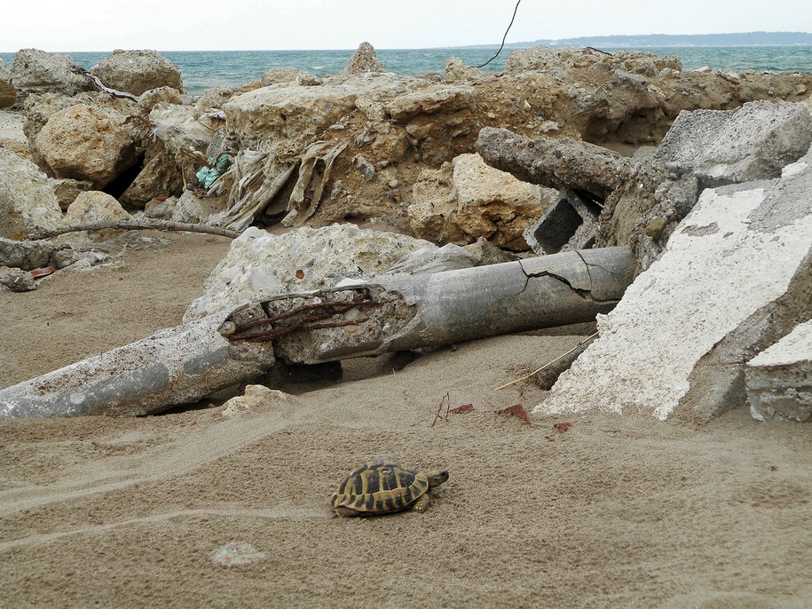 Vassiliki Lianou, Research thesis, 2018, Βασιλική Λιανού, SPIAGGIA, Μετατοπίσεις του βλέμματος στις σχέσεις φυσικού και τεχνητού