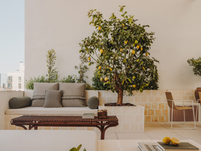 Archisearch - Α Valencian orchard | by Viruta Lab