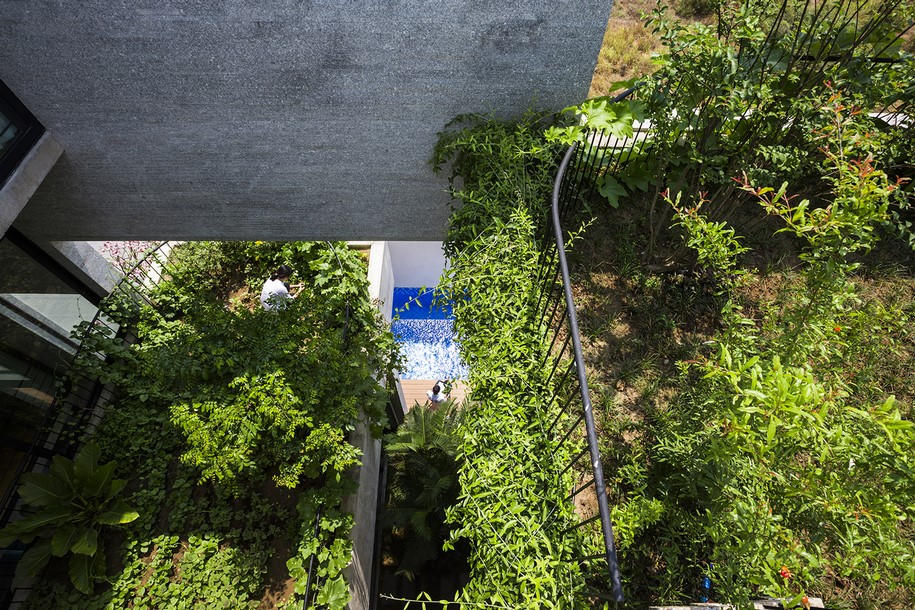 Archisearch Greenery Takes Over Concrete Binh House by VTN Architects