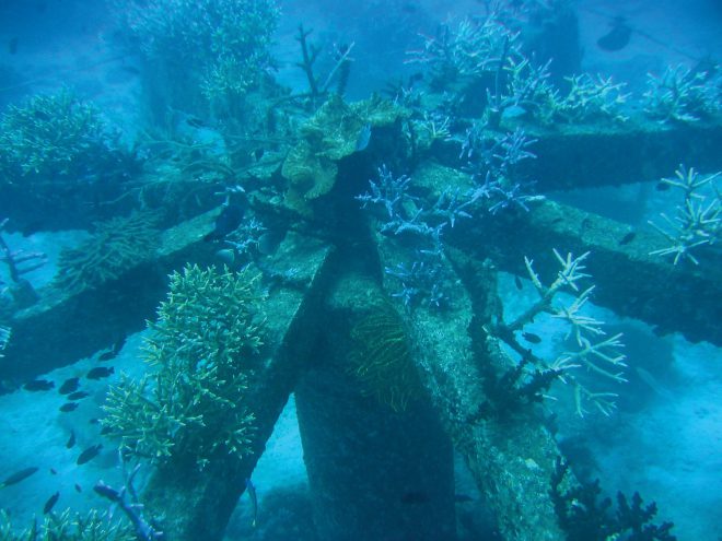 Archisearch - Concrete Substrates for Accelerated Coral Restoration in Philippines