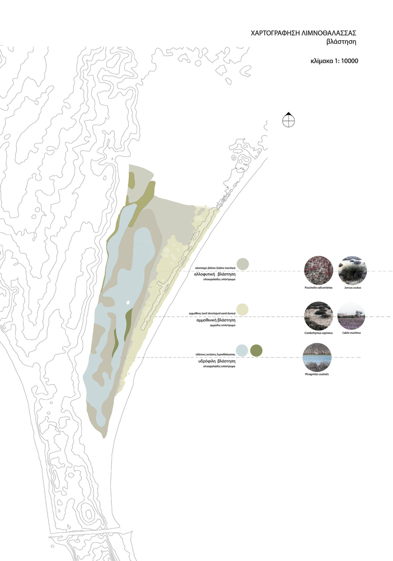 Archisearch Agios Mamas: transformations and narrations of a lagoon | Diploma thesis by Maria Papachristodoulou