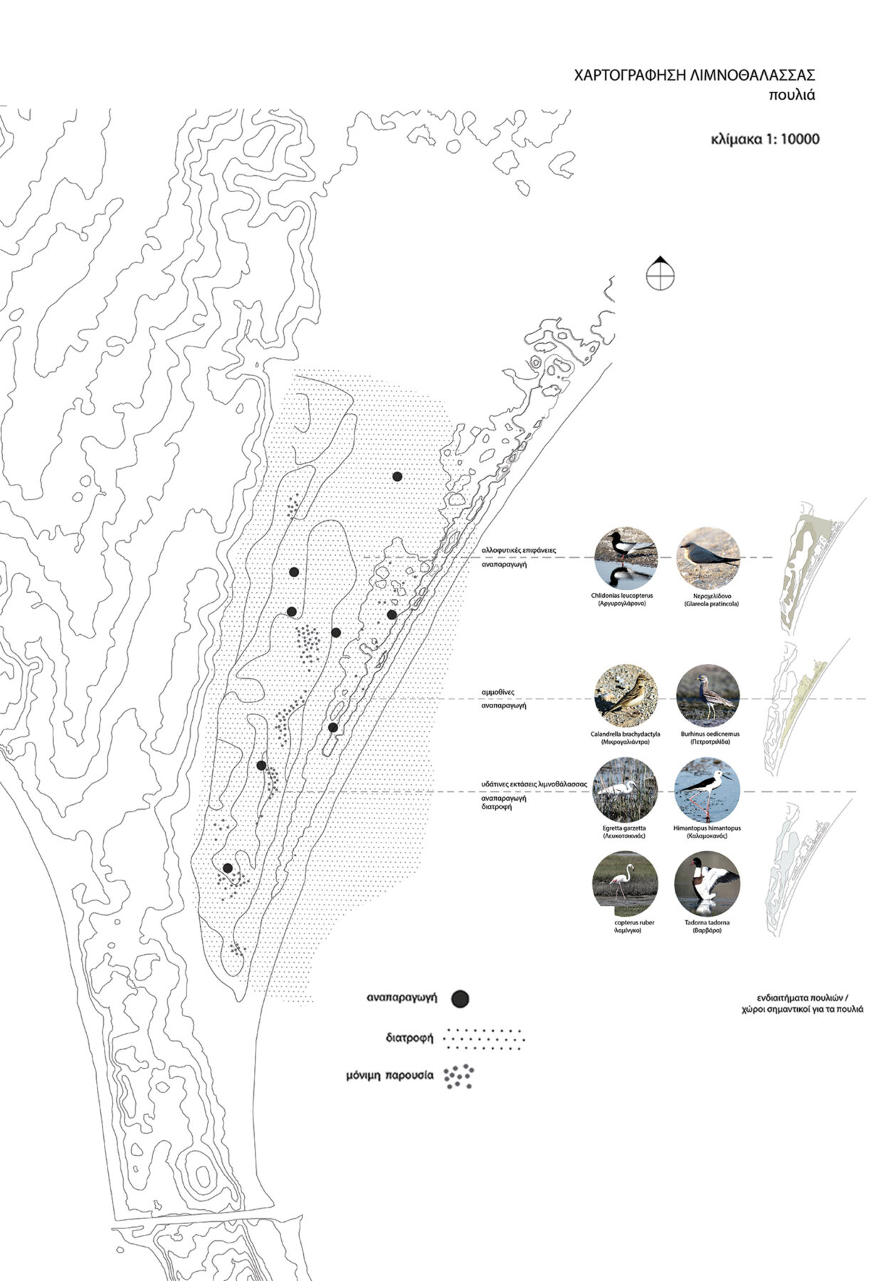 Archisearch Agios Mamas: transformations and narrations of a lagoon | Diploma thesis by Maria Papachristodoulou