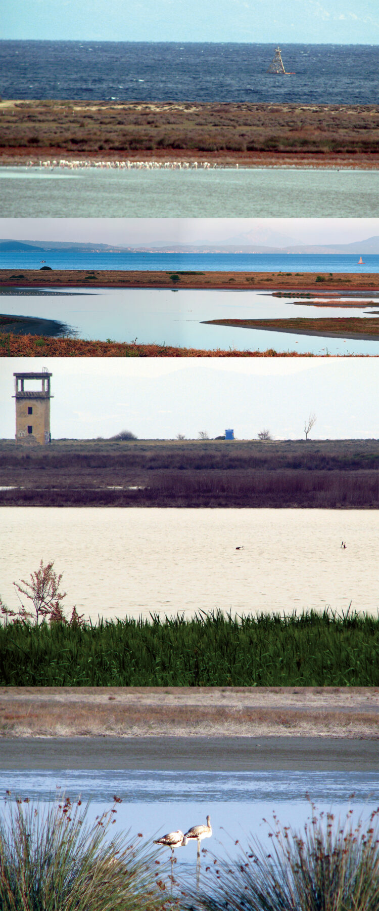 Archisearch Agios Mamas: transformations and narrations of a lagoon | Diploma thesis by Maria Papachristodoulou