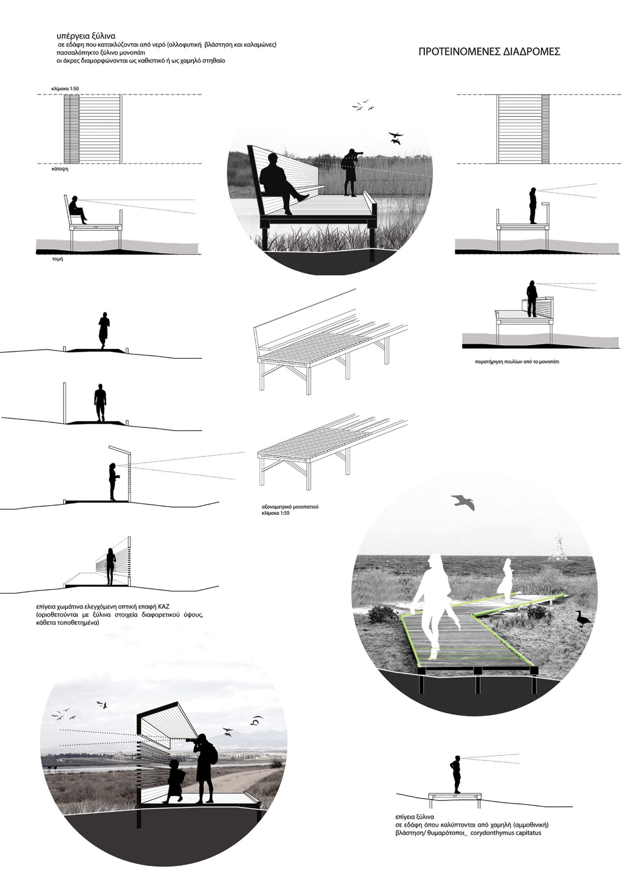 Archisearch Agios Mamas: transformations and narrations of a lagoon | Diploma thesis by Maria Papachristodoulou