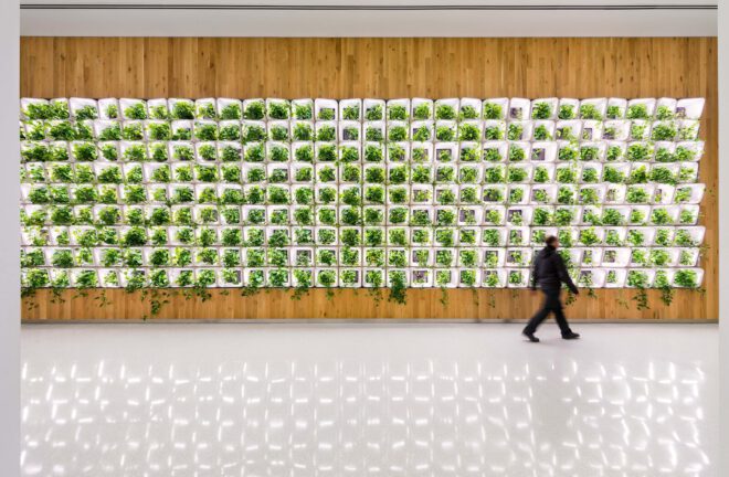 Archisearch - ΕΣΩ 2022_Meet the speakers|Moving Beyond Greenwashing! by Andreas Theodoridis & Christina Ciardullo