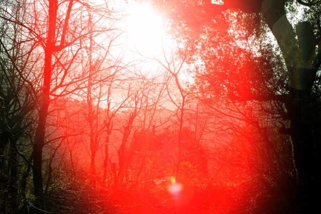 Archisearch - ''Palaiokarya'' photography series: Yiouli Tsatsopoulou's submission in Antiparos International Photo Festival 2021