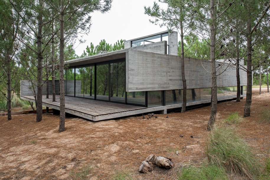 Archisearch CASA L4 is a concrete box into the woods  | Luciano Kruk