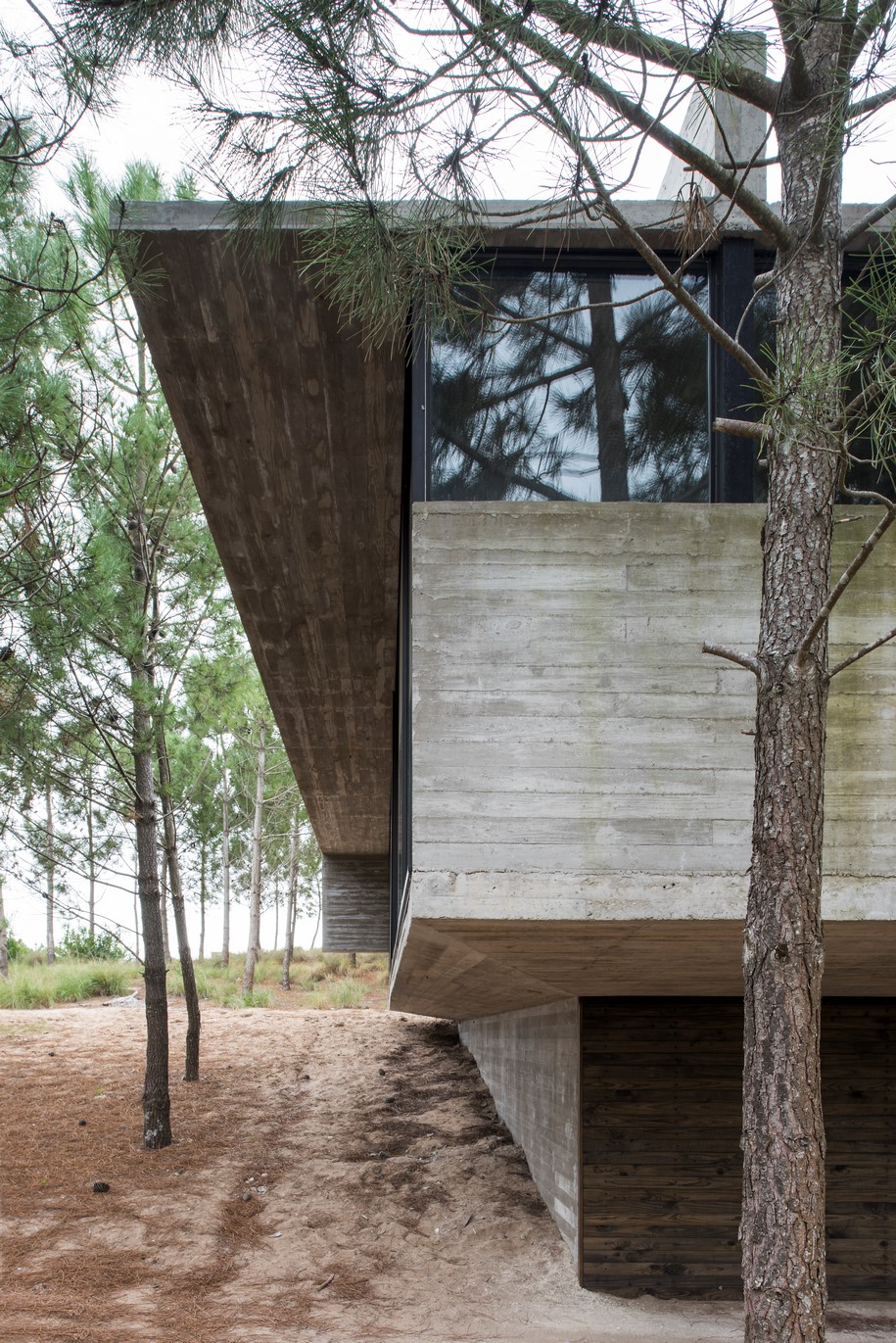 Archisearch CASA L4 is a concrete box into the woods  | Luciano Kruk