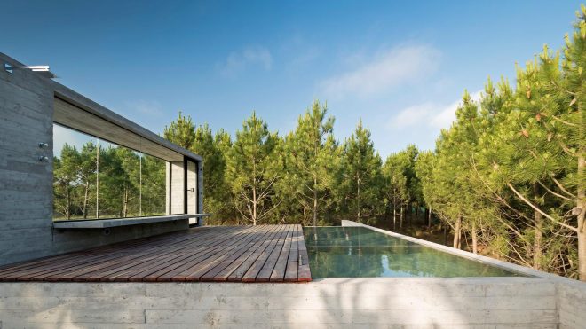 Archisearch - CASA L4 is a concrete box into the woods  | Luciano Kruk