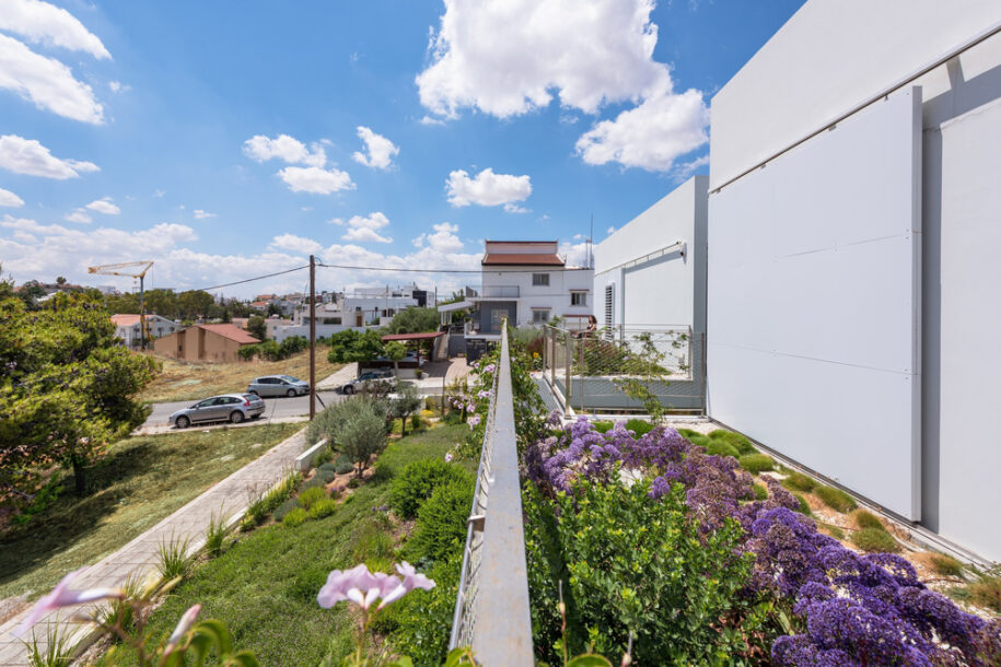 Archisearch The Garden House in the City, Nicosia, Cyprus | christos pavlou architecture