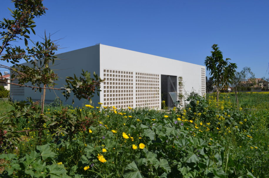 Archisearch House with Four Gardens in Nicosia, Cyprus | draftworks* architects