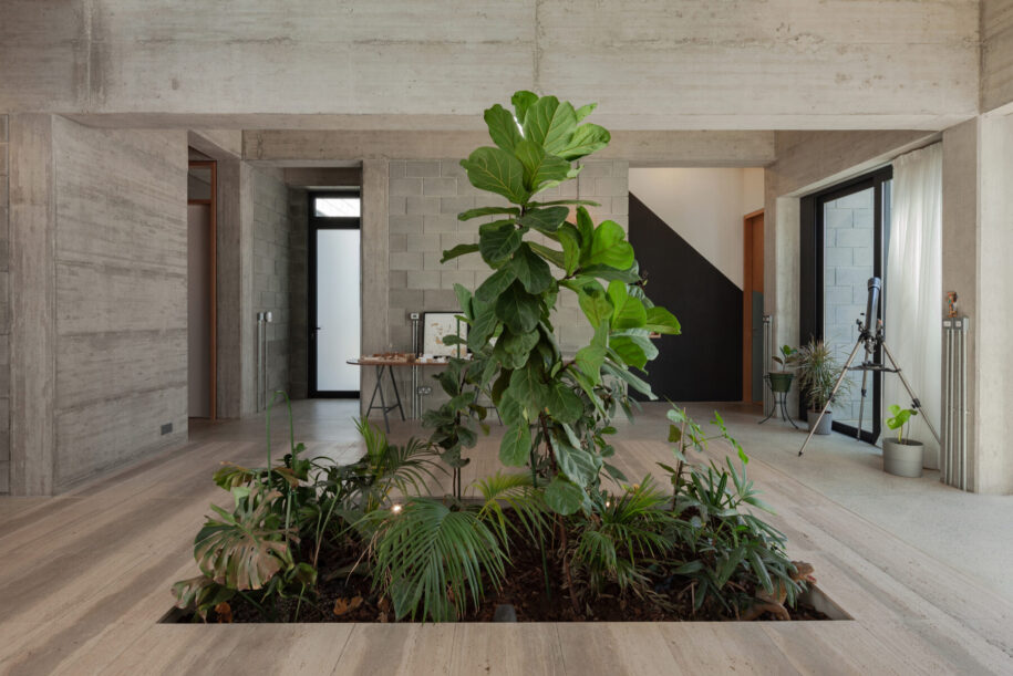 Archisearch House with Four Gardens in Nicosia, Cyprus | draftworks* architects