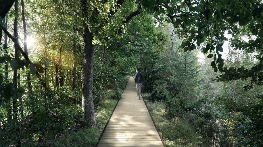 Archisearch EFFEKT designed a new treetop walk and observation tower in a preserved forest in Denmark