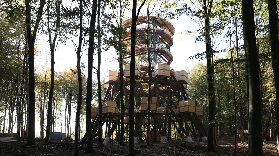 Archisearch EFFEKT designed a new treetop walk and observation tower in a preserved forest in Denmark